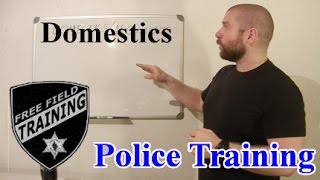 Police Training Domestics and Arguments [upl. by Donnie650]