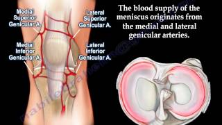 Hemoarthrosis of the kneeKnee swelling Everything You Need To Know  Dr Nabil Ebraheim [upl. by Nibaj480]