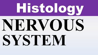 Inderbir Singh Histology Chp10  Histology of NERVOUS SYSTEM  Dr Asif Lectures [upl. by Lonny786]