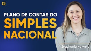 PLANO DE CONTAS PARA EMPRESAS DO SIMPLES NACIONAL BAIXE O MODELO [upl. by Bj679]