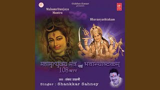 Mahamritunjaya Mantra 108 Baar amp Bhavanyashtakam [upl. by Forkey]