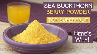 Sea Buckthorn Reasons Its a Top Superfruit [upl. by Nannek]