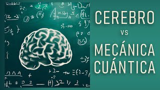 La mecánica cuántica del cerebro [upl. by Josiah]