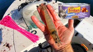 Castnet Catfood and ZipTies for Huge Shrimp [upl. by Eilssel]