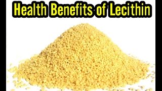 10 Health Benefits of Lecithin [upl. by Orimlede552]