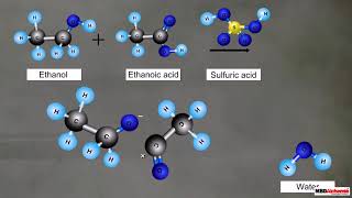 Chapter 4 Carbon and its Compounds  Ethanol and Ethanoic acid  Class 10 Part7 NCERT RBSE [upl. by Dorolice711]