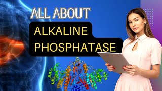 Alkaline Phosphatase Test  ALP Test ALP Normal Range Causes of Low ALPHigh ALP amp Its Functions [upl. by Ahcire247]