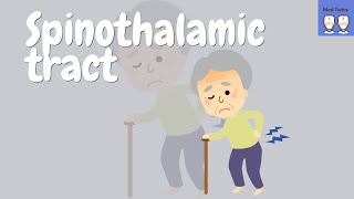 Spinothalamic tract simplified made easy [upl. by Adnouqal411]