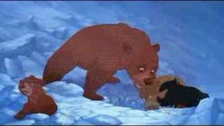 Brother bear 2 music video [upl. by Yeuh142]