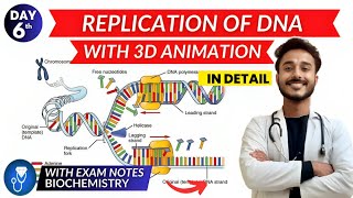 replication of dna biochemistry  dna replication in prokaryotes amp eukaryotes biochemistry [upl. by Lugar]