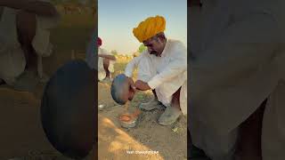 देसी चाय 😍 khet chai tea rajasthan youtubeshorts shorts marwadi food culture desi reels [upl. by Dwight352]