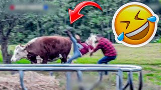 Best Fails of the week  Funniest Fails Compilation  Funny Videos 😂  Part 25 [upl. by Alet53]