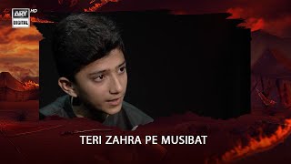 Salam  Teri Zahra pe Musibat  Syed Mehdi Hussain Naqvi [upl. by Briscoe]