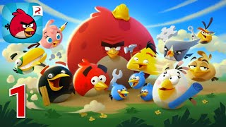 Angry Birds  Gameplay Walkthrough Part 1Android IOS [upl. by Eedoj]