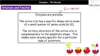 A Level Biology  2141  Enzymes Summary [upl. by Waylin]