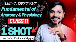 Fundamental of Anatomy amp Physiology Detailed Oneshot Unit 7 Physical Edu Class 11 CBSE 202324 🔥 [upl. by Arimaj]