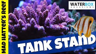 Waterbox Reef Tank Build  Ep 2  The Tank Stand [upl. by Annawot]