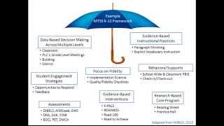 Critical Features of MTSS [upl. by Iruj]