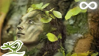 Dance of Life Relaxing Celtic Music for Meditation amp Sleep by Peder B Helland [upl. by Eelaras]