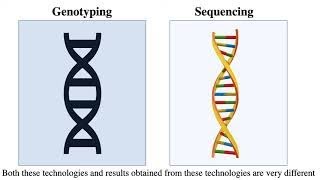 Genotyping by Sequencing [upl. by Novahs214]