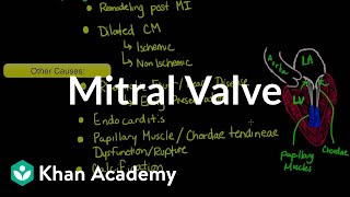 Mitral valve regurgitation and mitral valve prolapse  NCLEXRN  Khan Academy [upl. by Dominique]