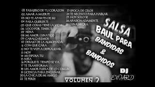 salsa baul para bandidas volumen 2 [upl. by Nioe455]