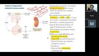 ثالث محاضرة لشرح ال Endocrine USMLE STEP 1 [upl. by Sarena508]