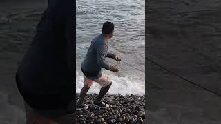 Impresionante Pesca con Atarraya en Mar Agitado [upl. by Aicilec]