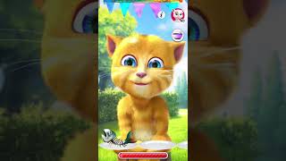 tom ginner ♥️♥️trending shortvideos shortsviral talkingcat [upl. by Happy157]