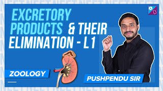 Osmoregulation amp Excretory Structure  Excretory Products and their Elimination Class 11 Biology [upl. by Tor]