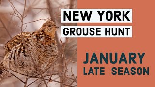 NY Grouse Hunting  January 4K [upl. by Audy460]