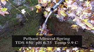 Pelham Mineral Spring  St Catharines  Welland Ontario Natural Spring Water [upl. by Leizo]