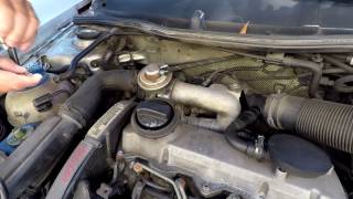 How to disable EGR on VAG 19 TDI engines [upl. by Tergram218]