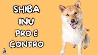 Shiba Inu Pro e Contro [upl. by Hahsi]