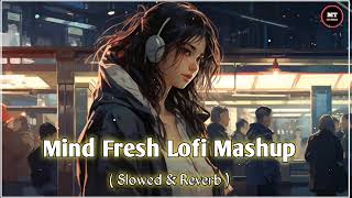 Romantic lofi song❤  Love Lofi song2024  Lofilsr lofi trendingsong slowedreverb [upl. by Neirb]