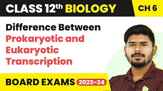 Difference Between Prokaryotic and Eukaryotic Transcription  Molecular Basis of Inheritance [upl. by Saerdna231]