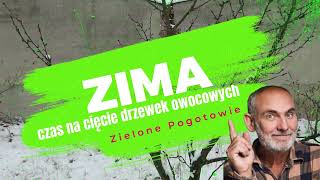 Zimowe cięcie śliwki [upl. by Joshua]