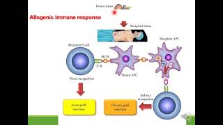 Immunosuppressive drugs [upl. by Dimo953]