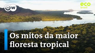 O brasileiro entende a importância da Amazônia  Eco Brasil [upl. by Selmore24]