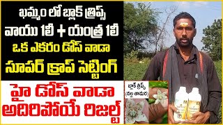 chilli బ్లాక్ త్రిప్స్ వాయుయంత్ర హై డోస్ తో కొట్టాను best insecticide vaayu yantra mirchi farm [upl. by Eniluj]