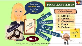 ML1 MnemonicsThe Most Effective Way To Learn And Understand Vocabulary [upl. by Ikey]