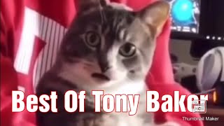 New  The Best of Tony Baker Voice Over [upl. by Adnamahs]