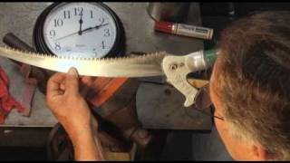 Pole Saw Blade Maintenance  Prune Like a Pro [upl. by Hutchins]