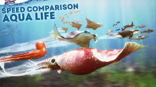 SPEED COMPARISON 3D  Aqua Life 🐠 [upl. by Herahab]