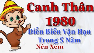 Canh Thân 1980 Diễn Biến Vận Hạn trong 5 Năm MN Nên Xem Để Có Cái Nhìn Chủ Động [upl. by Terrence]