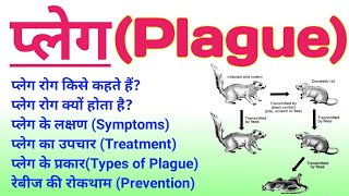 प्लेग रोग क्या है  plague disease in hindi  plague symptoms treatment prevention diagnosis ताऊन [upl. by Htenywg]