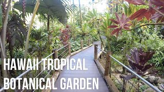 Hawaii Tropical Botanical Garden  Virtual Tour [upl. by Yanrahc]