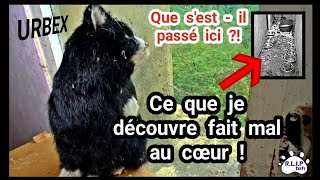 Urbex 🐕 Maltraitance animale dans cet élevage  🐈 Que sestil passé  😢 animal spa abandoned [upl. by Deedee]