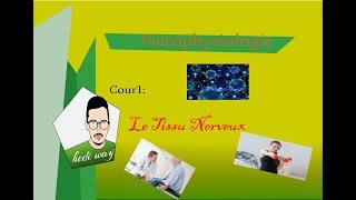 01 Tissu Nerveux  Neurophysiologie Bac Tunisie [upl. by Perkin]