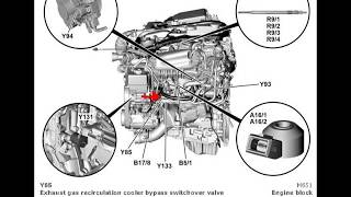 Component Locations on MercedesBenz CClass W204 Part 08 [upl. by Odlawso730]